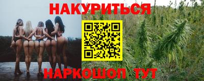 наркотики Кингисепп