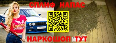 наркотики Кингисепп